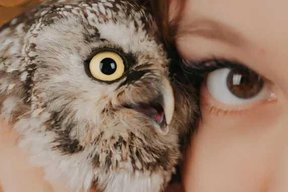 קזינו אולסטאר סלוטס תמיכה